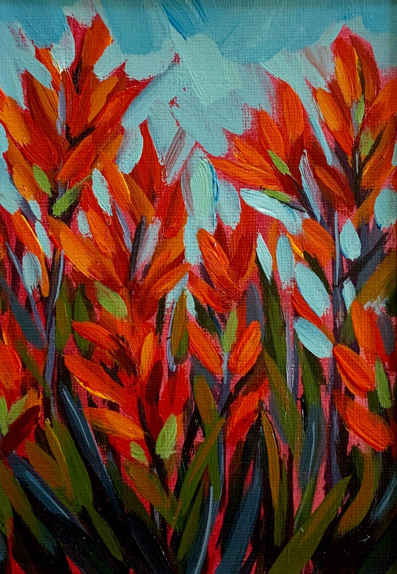 Texas Indian Paint Brush