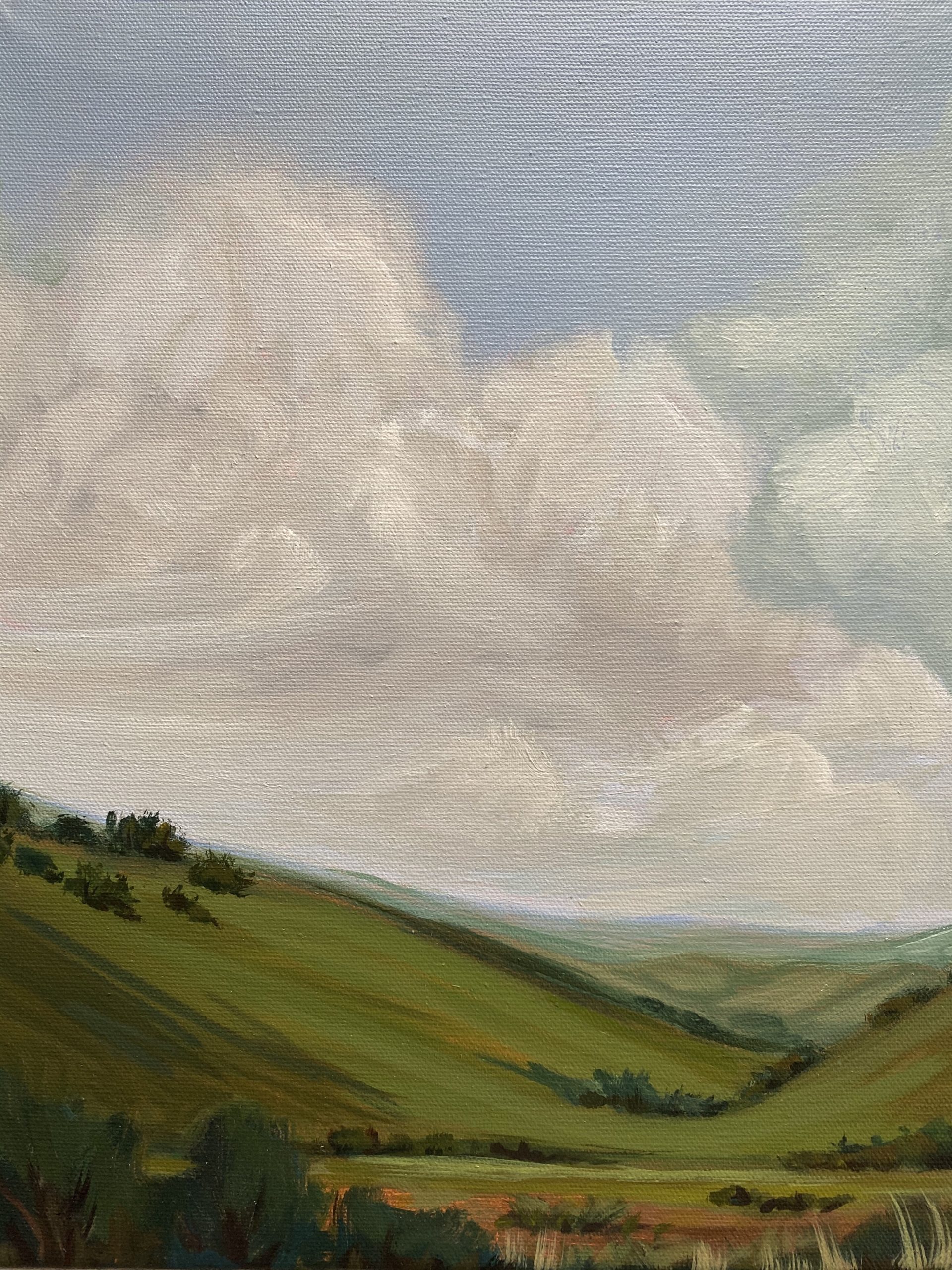 artwork - texas women