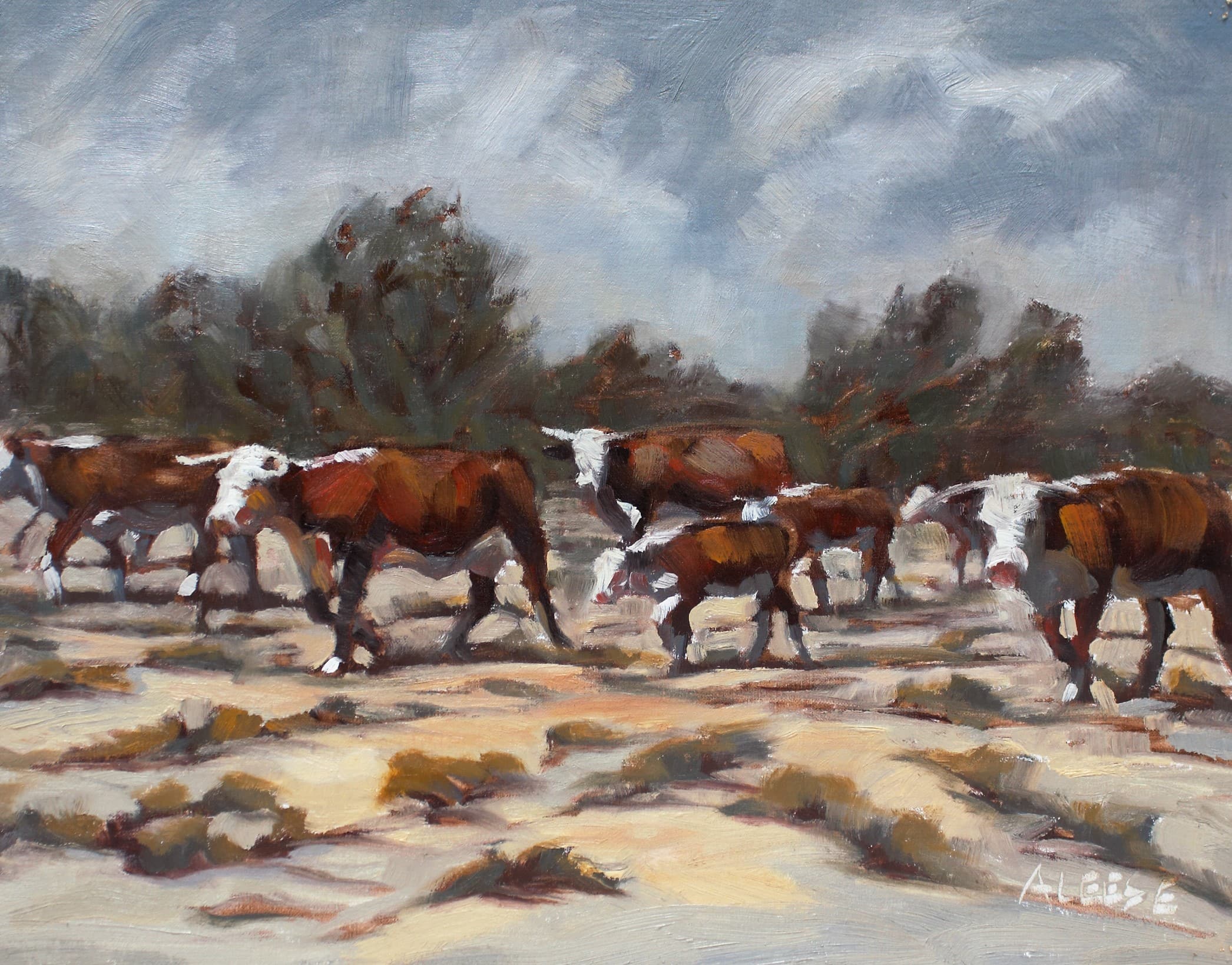 artwork - texas women