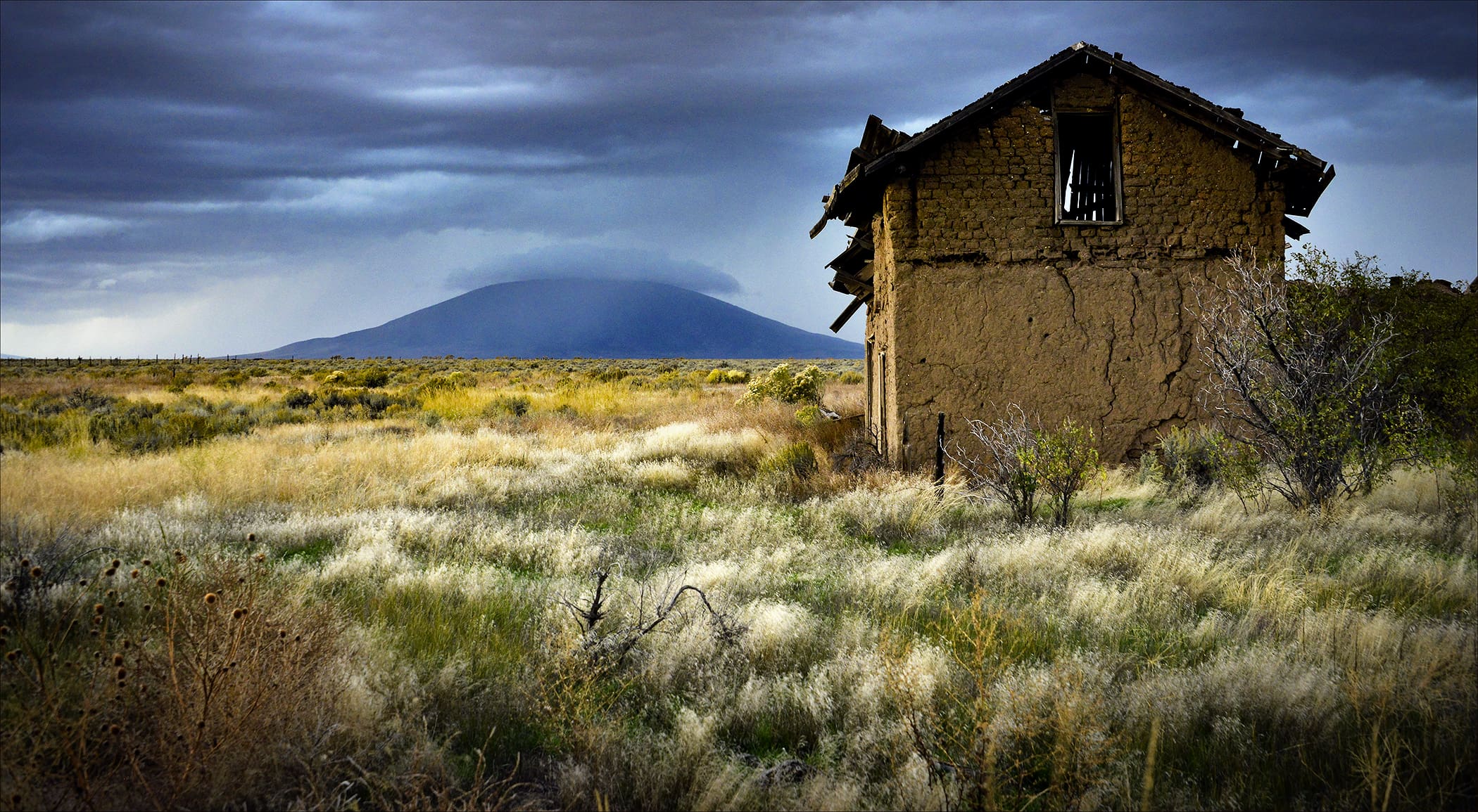 Ancient Echoes Graced by the Light