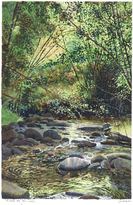 Pot Creek Late Summer