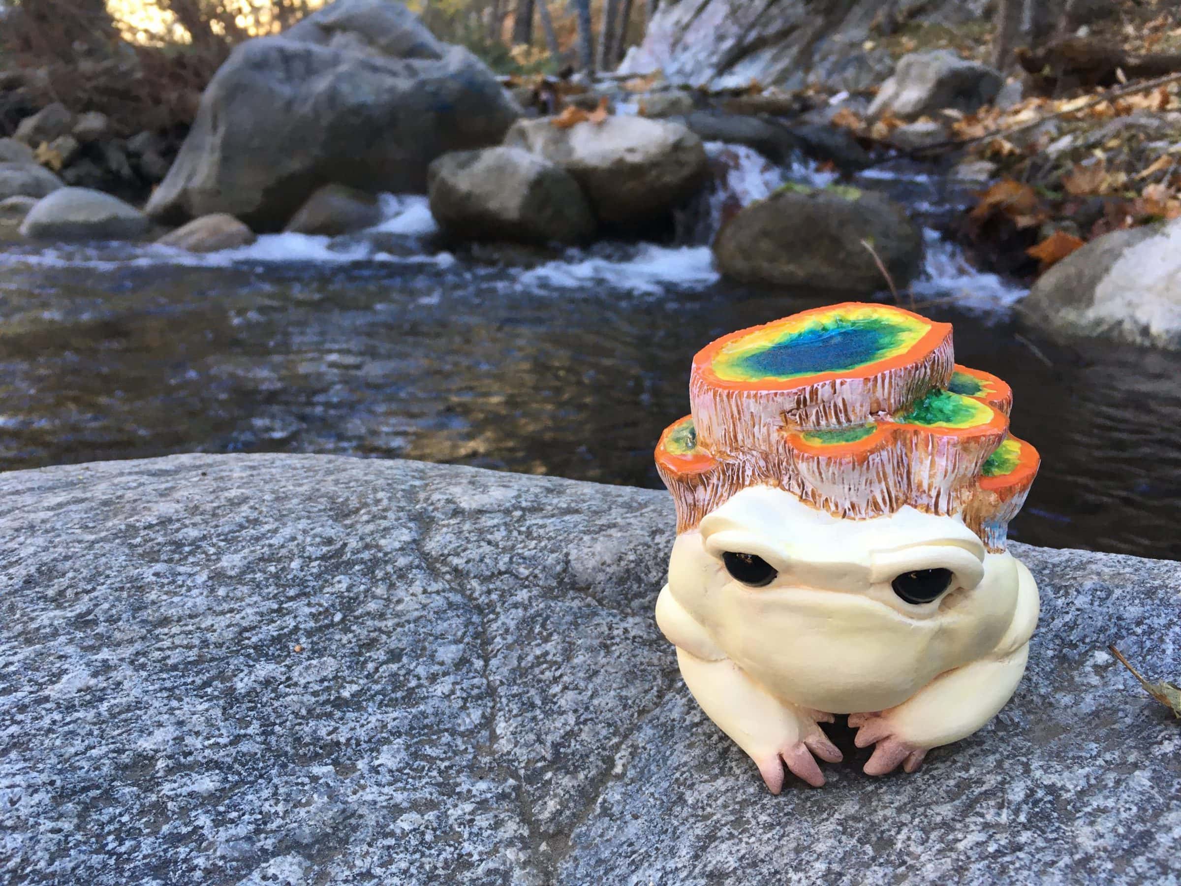 Rainbow Geyser Toad