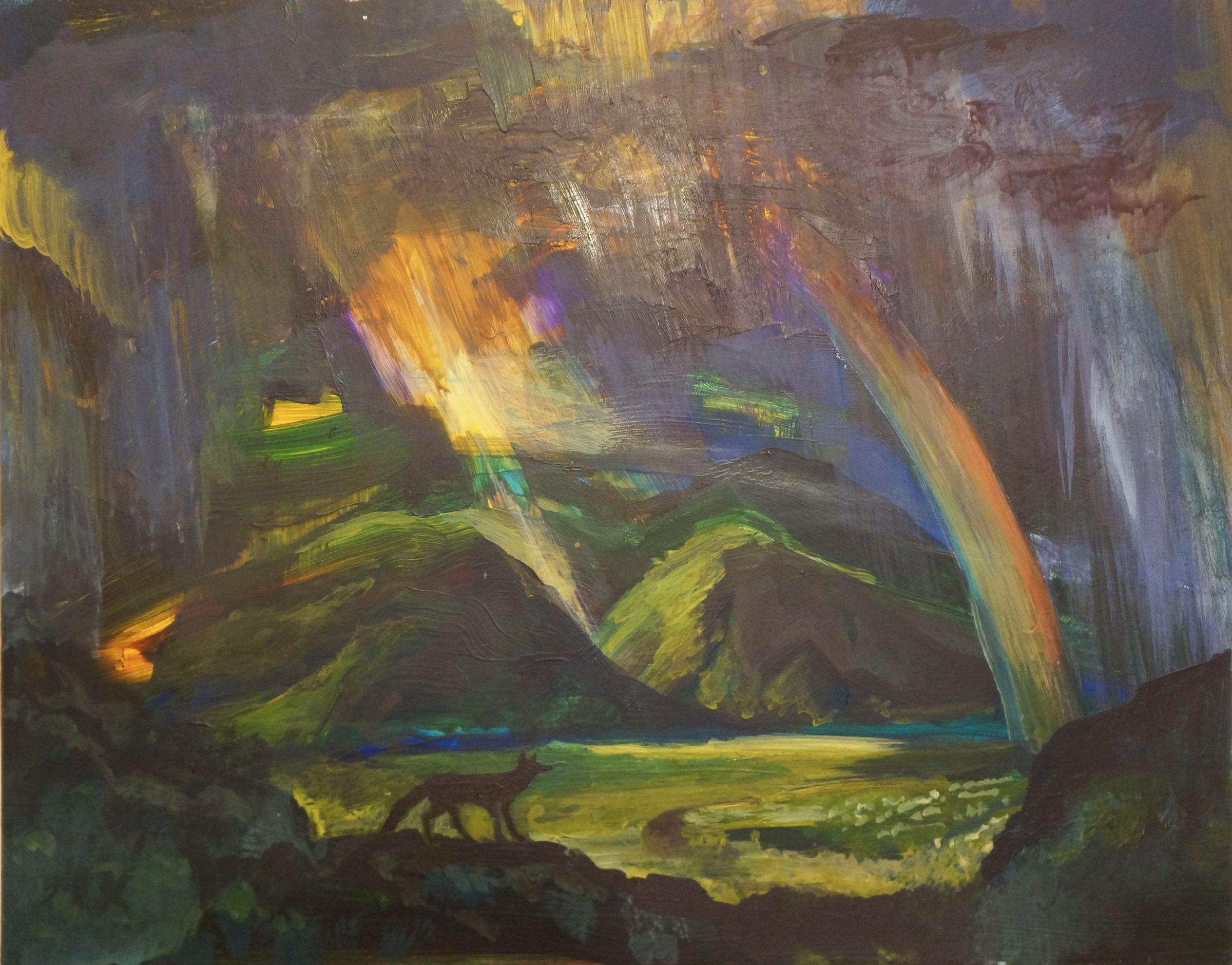 Coyote in Taos Valley