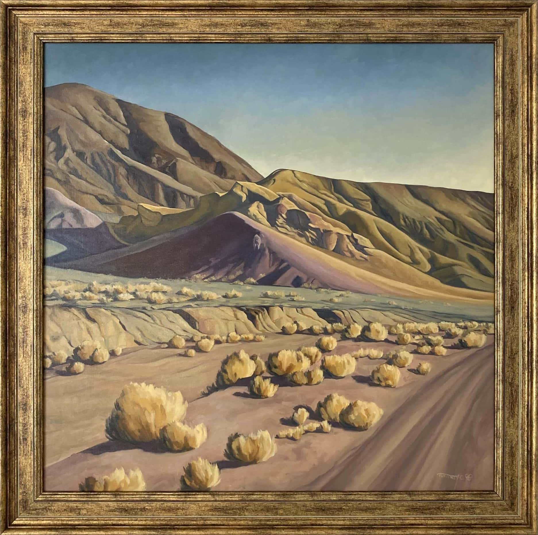 Mule Canyon Spectrum