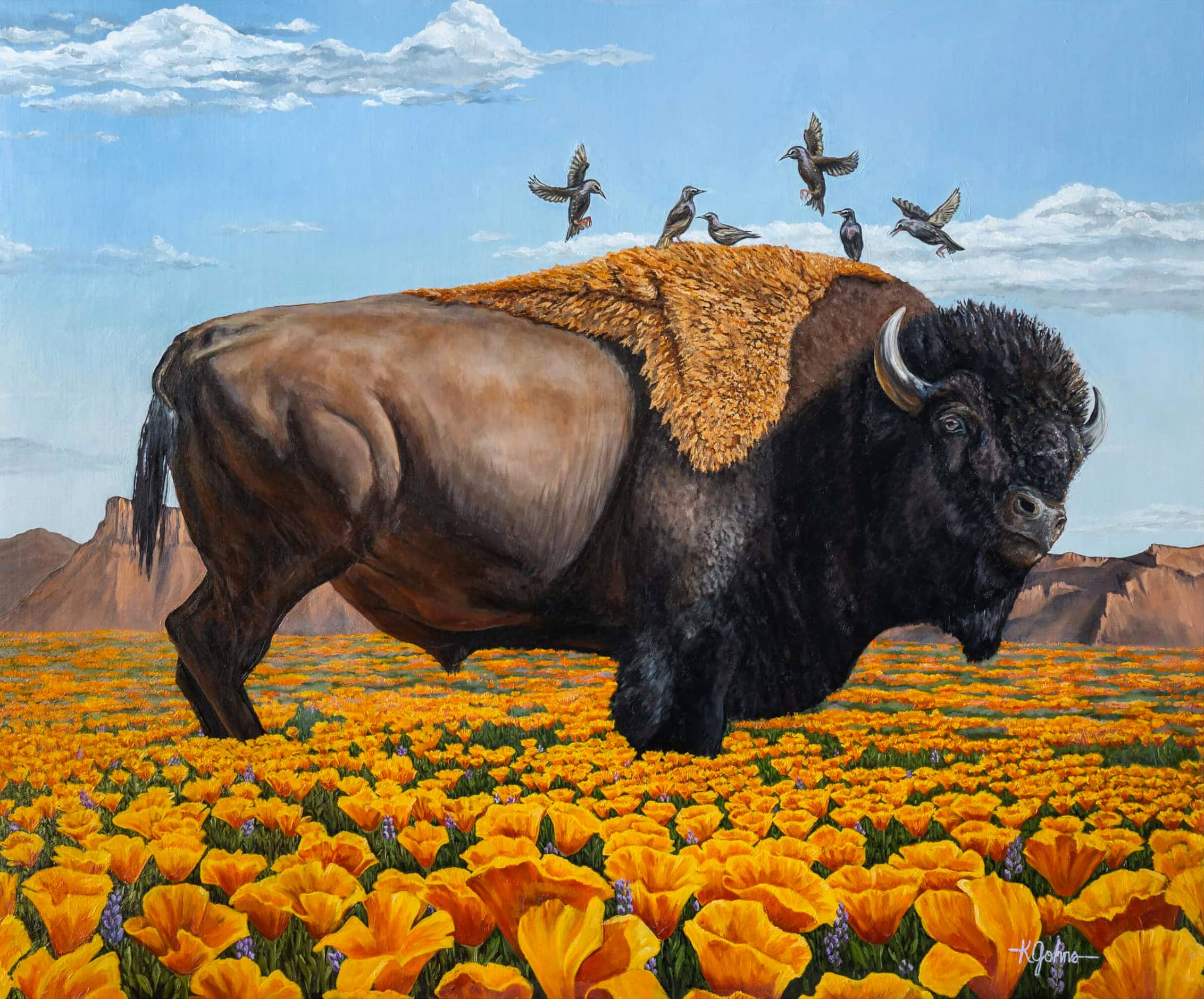 Land of the Desert Poppy