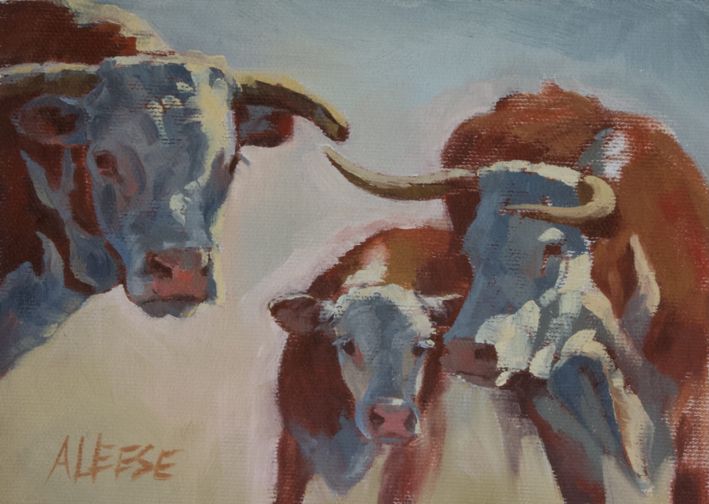 Sand Ranch Herefords