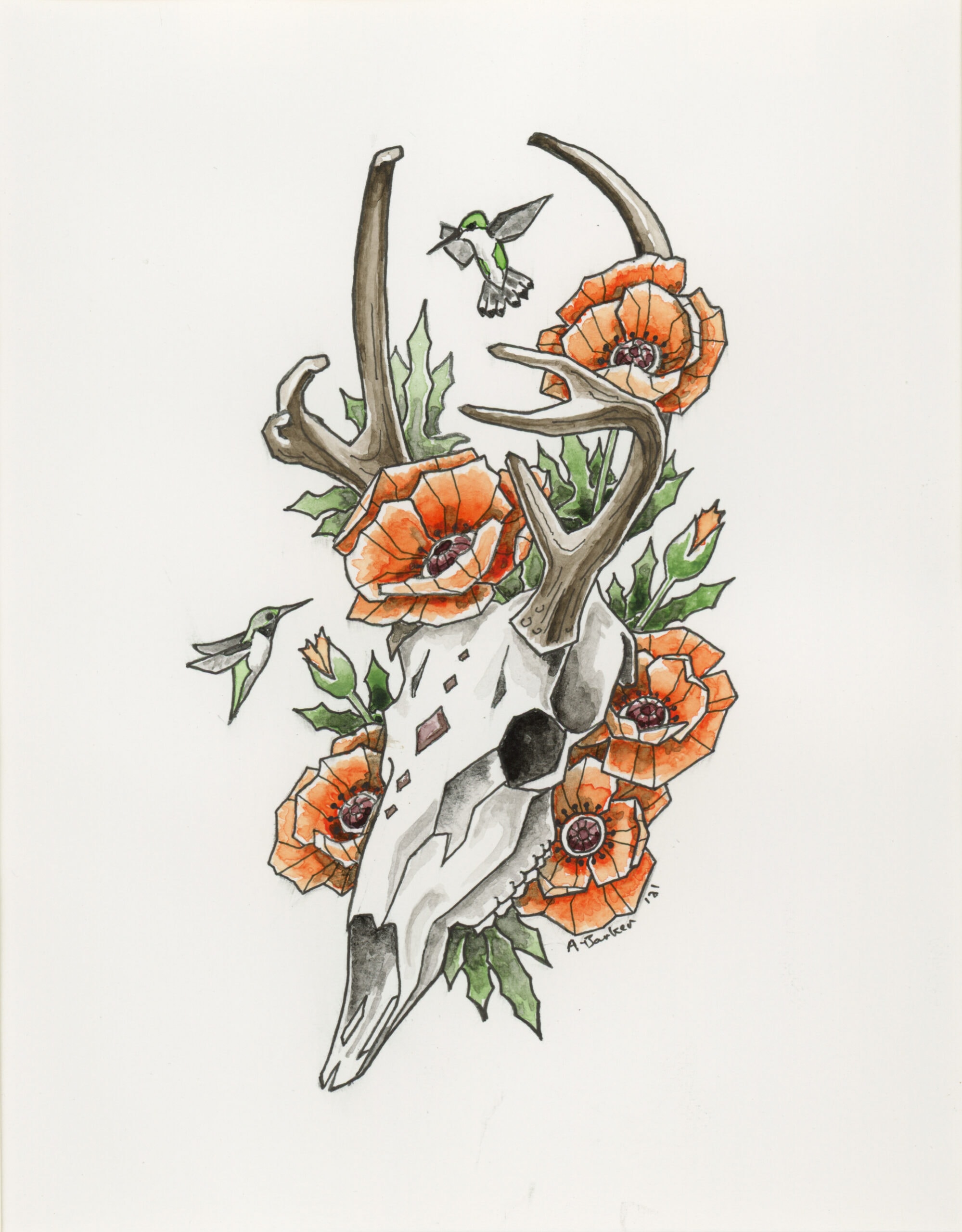 Deer Skull & Poppies