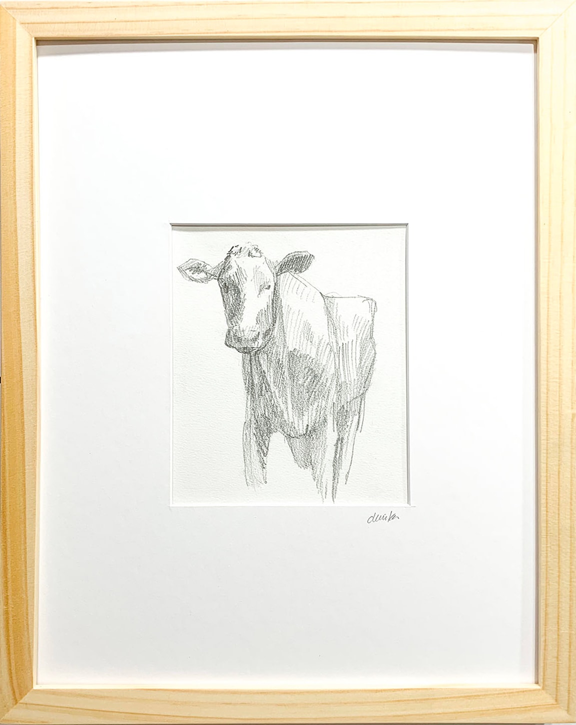 Cow Study