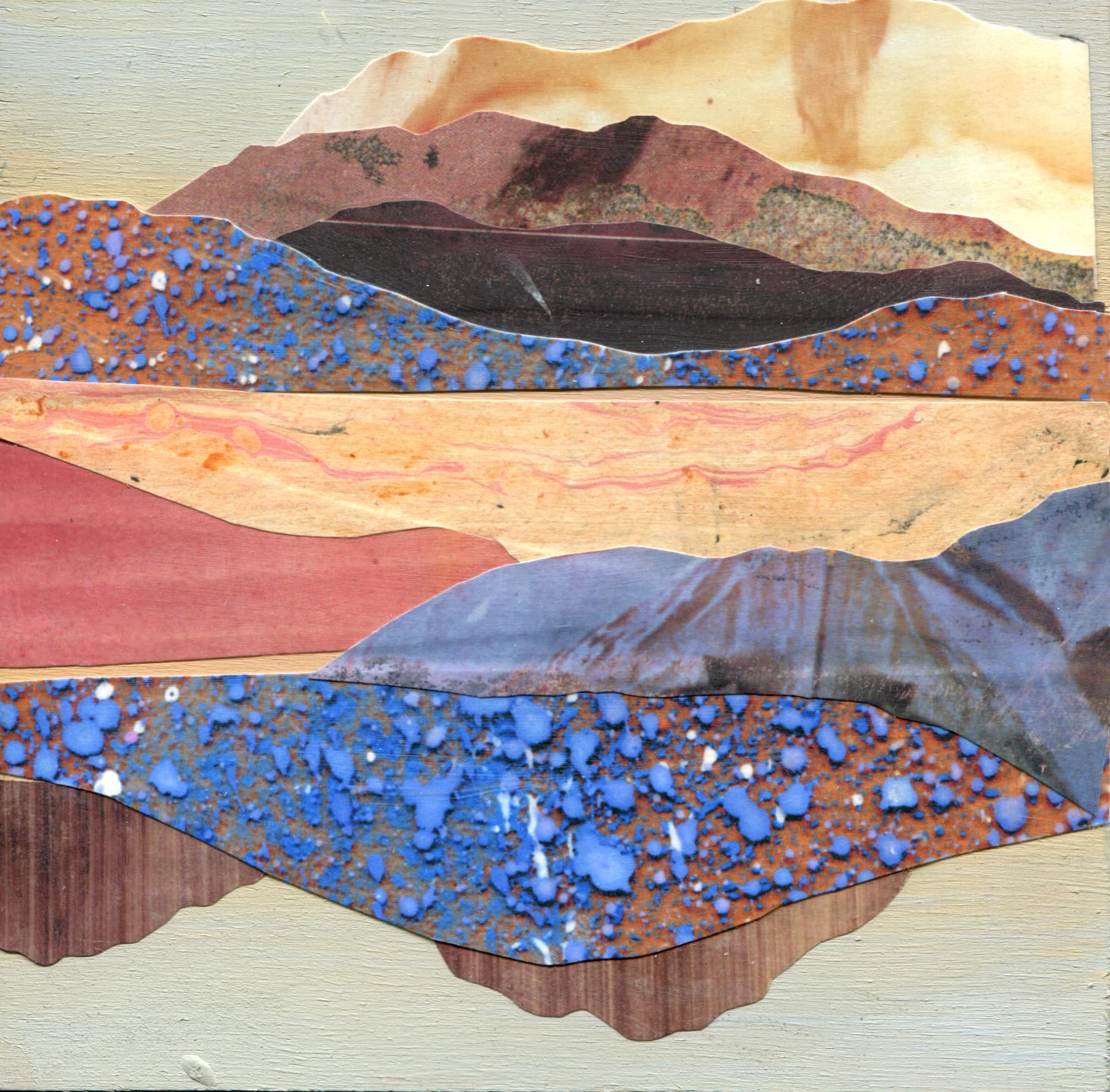 Southwest Desert Bluebells