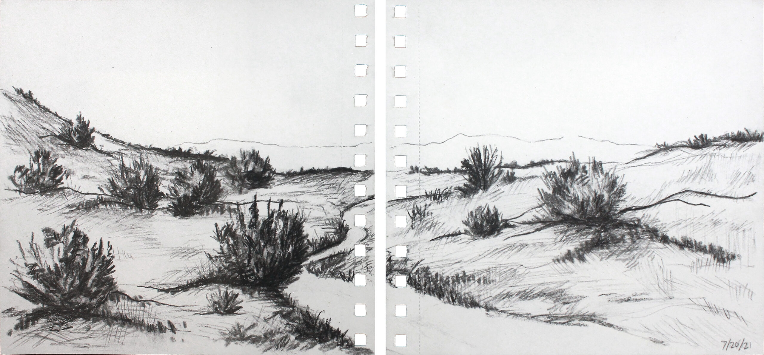 llano juniper study (the dog hates hiking)