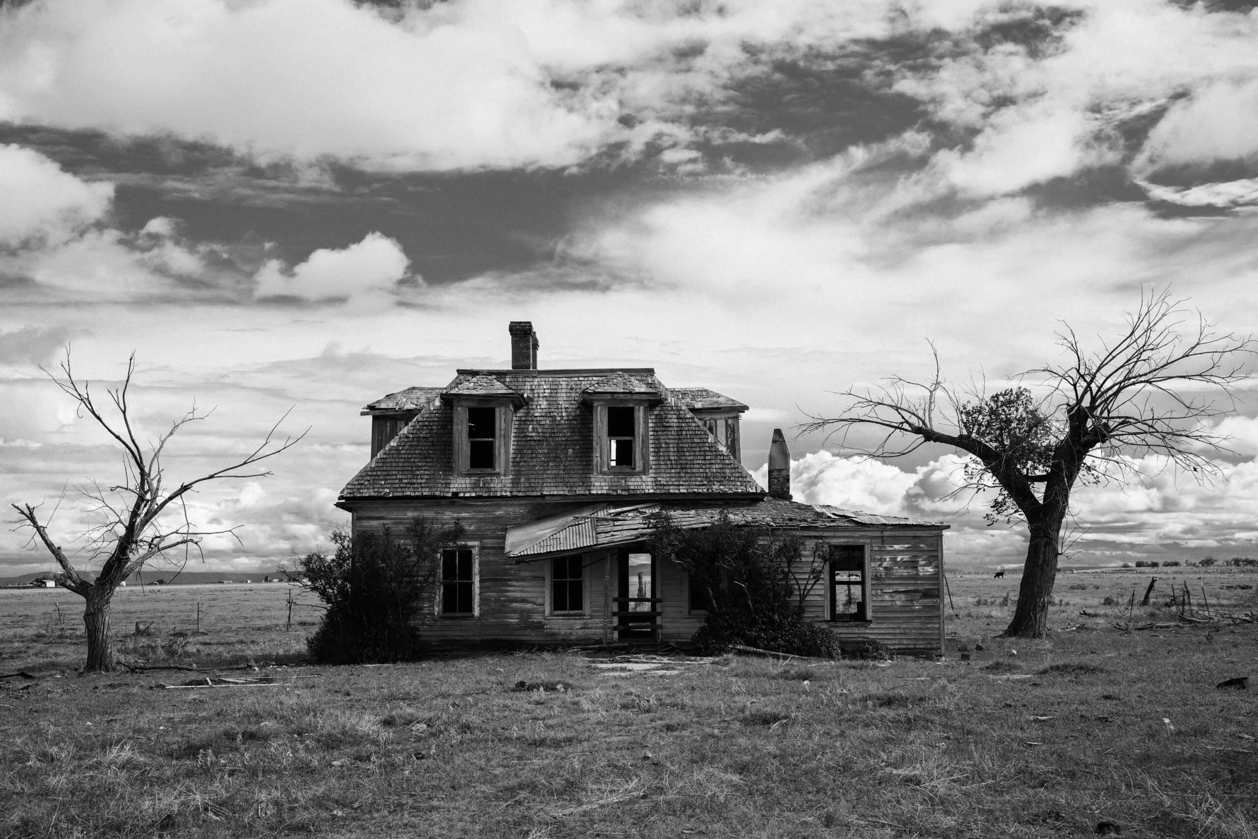 The House of Belonging