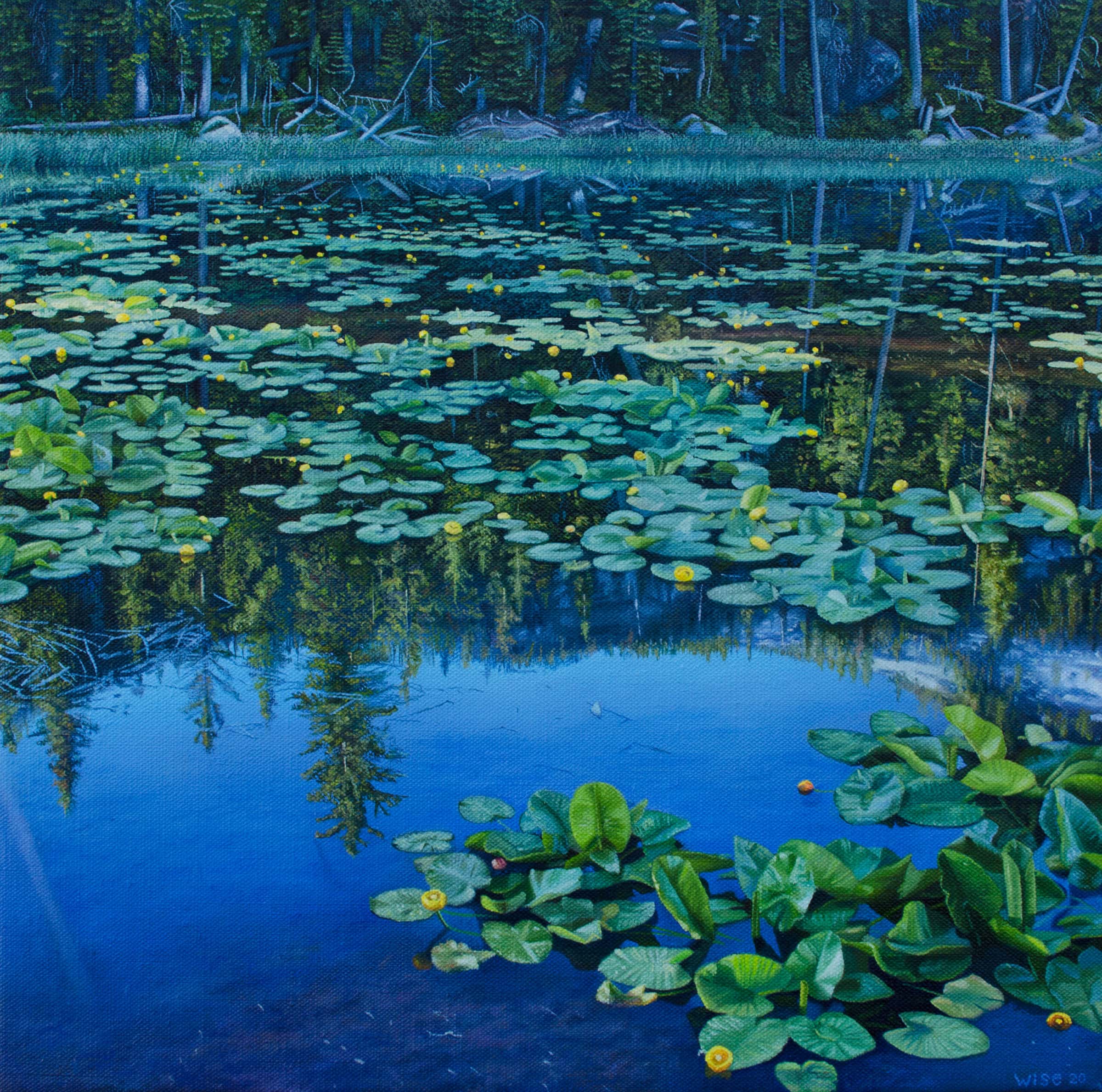 Between Two Tall Mountains