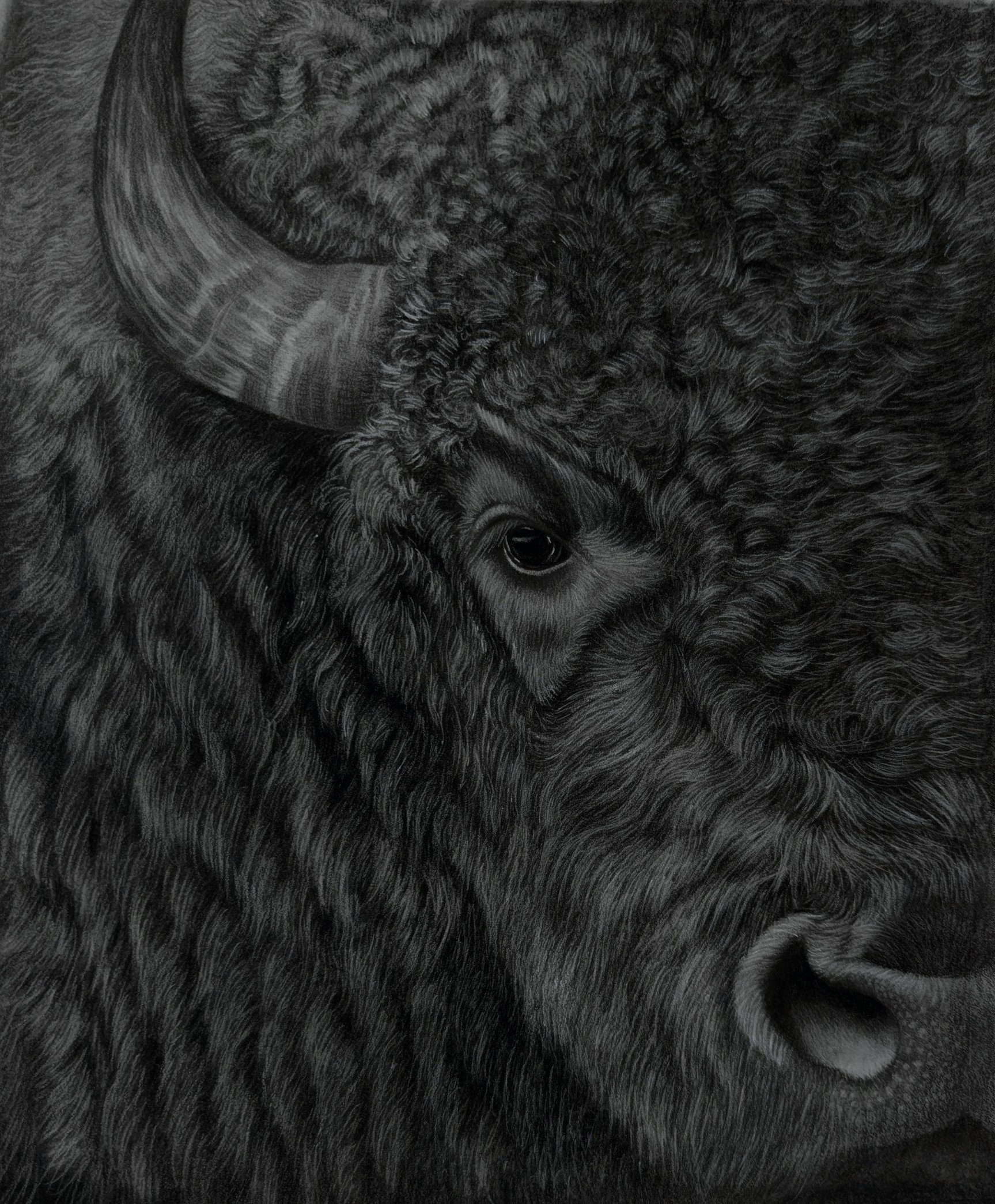 A Commanding Presence