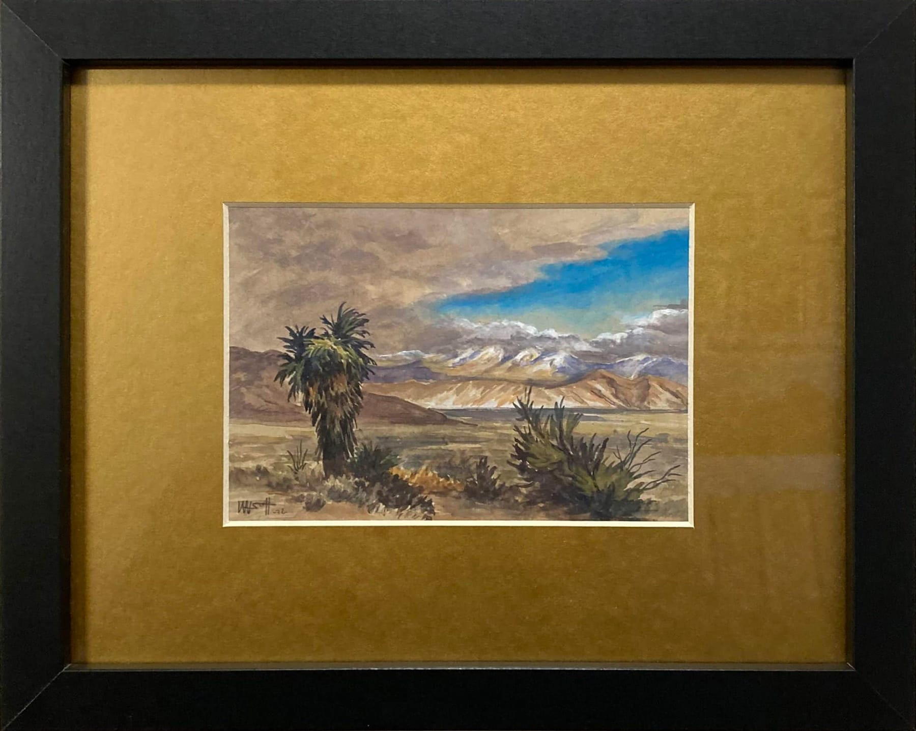 The Great Palm Desert