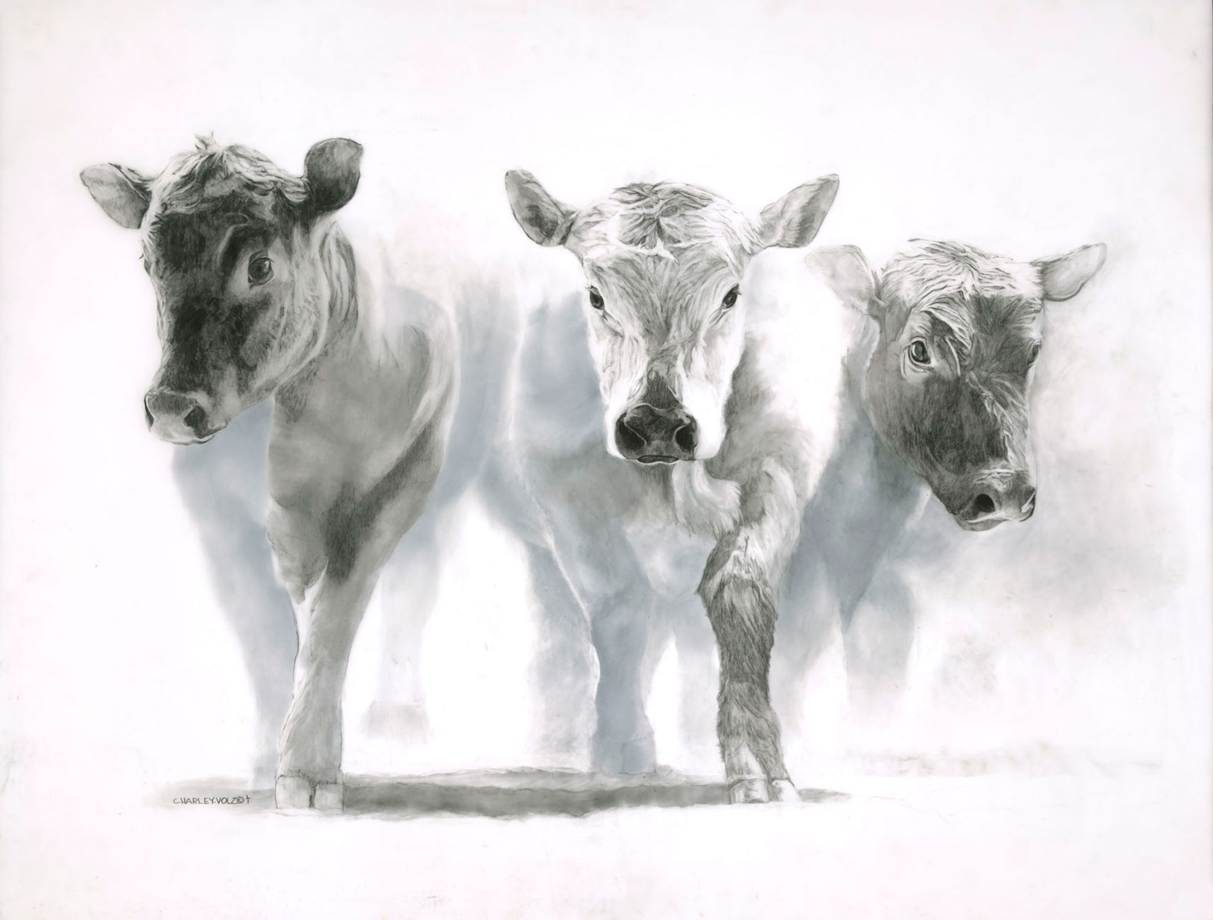 Proceeding With Caution