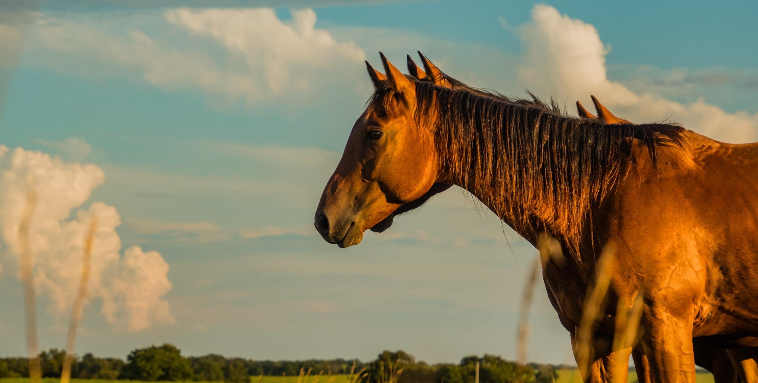 Different Perspective