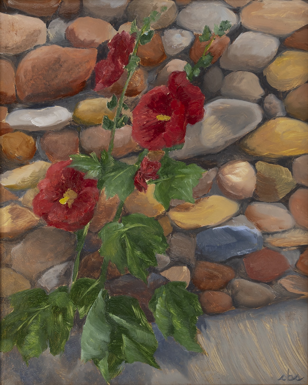Hollyhock in Santa Fe Sidewalk