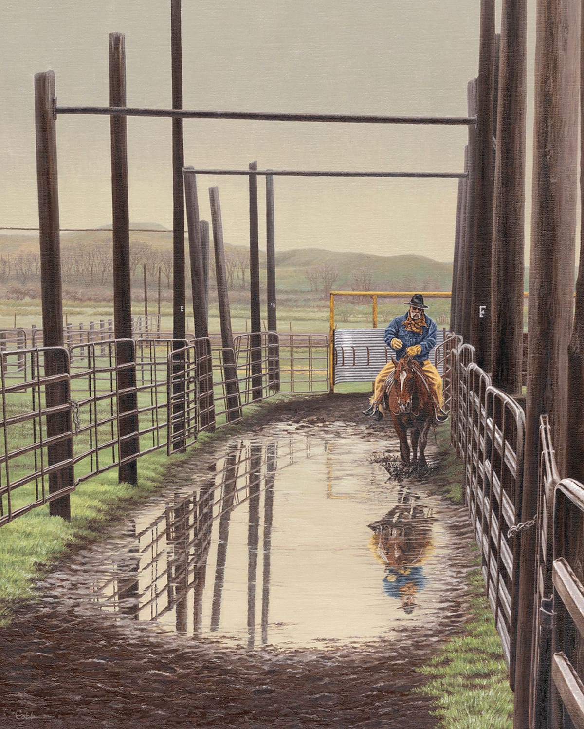 Wet Day At The Working Corrals
