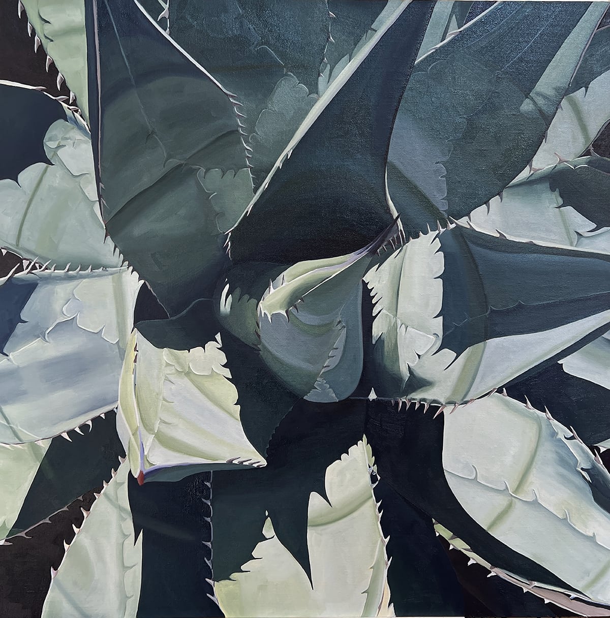 Desert Agave