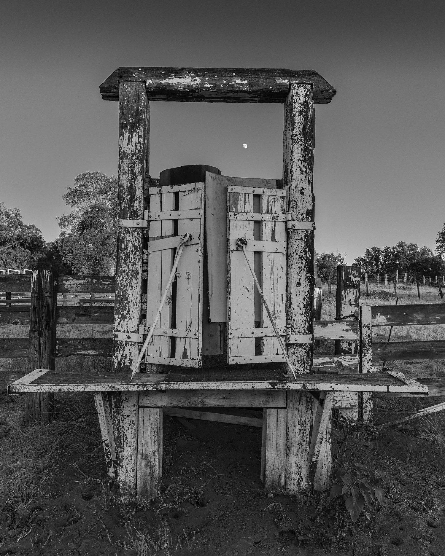 Cattle Chute with Moon