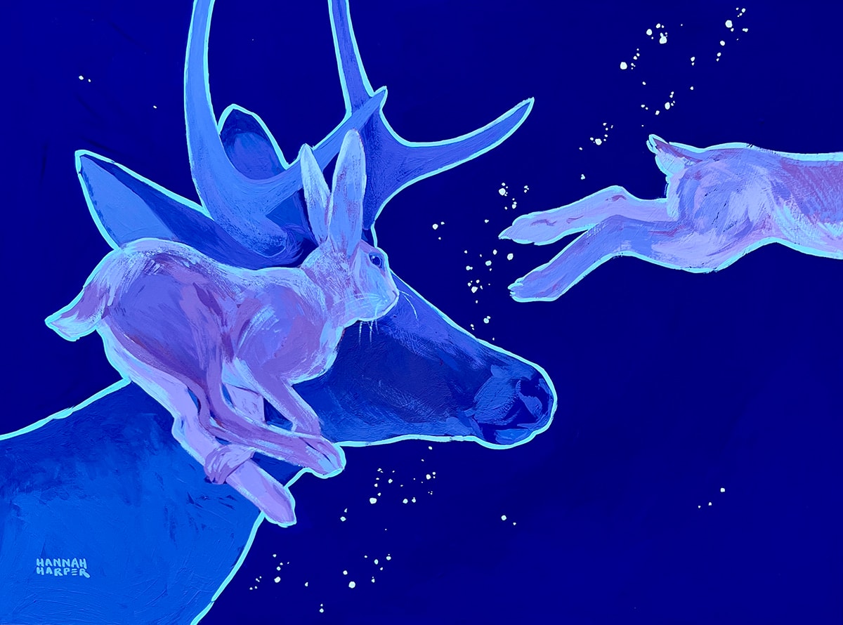 Search for the Jackalope