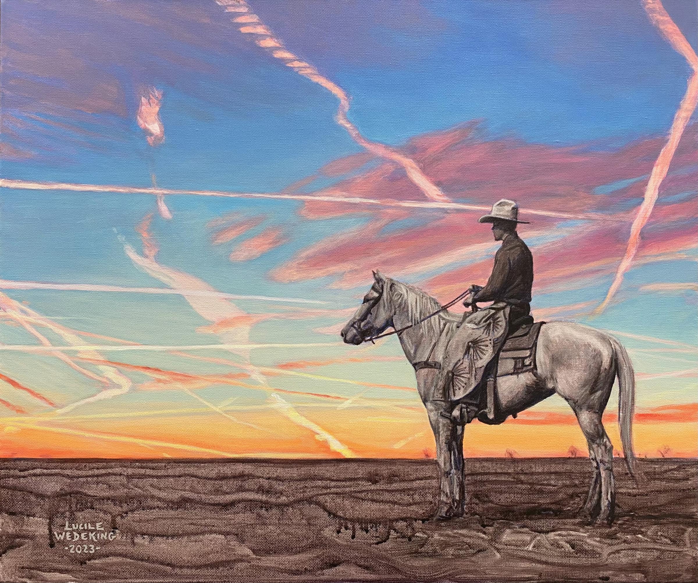 Chemtrail Cowboy
